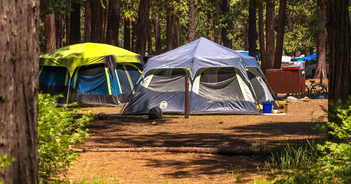 A plot in the woods with tents set up for camping. The sun shines over the tents, and the tents are blue and yellow.